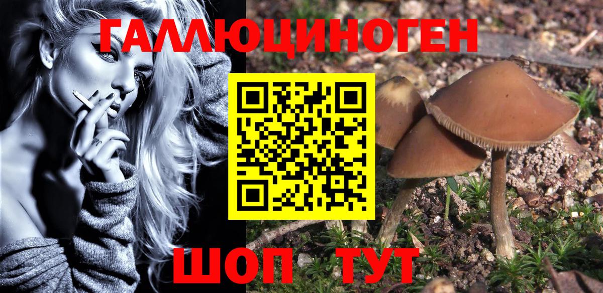 Галлюциногенные грибы MAGIC MUSHROOMS  Вход с VPN  Псилоцибиновые грибы прущие грибы  Георгиевск 